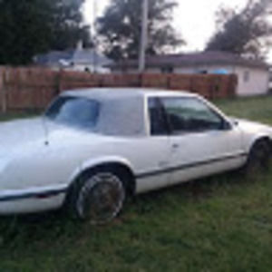 Meet your Posher, Terry